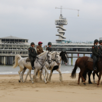 CEE strand 17-09-2018 (31)