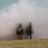 CEE strand 17-09-2018 (495)