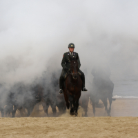 CEE strand 17-09-2018 (552)