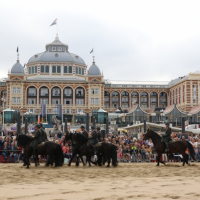 CEE strand 17-09-2018 (67)