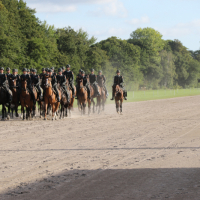 Oefening Duindigt 15-09-2018 (119)