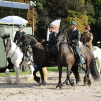 Oefening Duindigt 15-09-2018 (282) - kopie