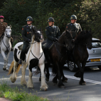 Oefening Duindigt 15-09-2018 (521) - kopie