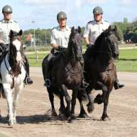Oefening Duindigt 15-09-2018 (628)