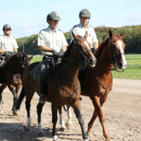 Oefening Duindigt 15-09-2018 (640)