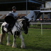 Oefening Duindigt 15-09-2018 (731)