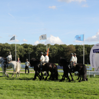 Oefening Duindigt 15-09-2018 (838)