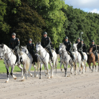 Oefening Duindigt 15-09-2018 (98)