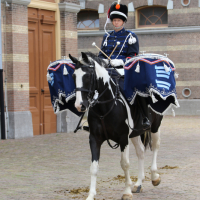 PD CEE 18-09-2018 (17)