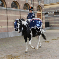 PD CEE 18-09-2018 (20)