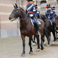 PD CEE 18-09-2018 (52)