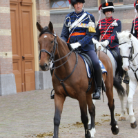 PD CEE 18-09-2018 (8)