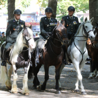 Genrep-en-beediging-15-09-2019-014