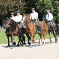 Oefening-Duindigt-14-09-2019-354