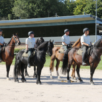 Oefening-Duindigt-14-09-2019-369