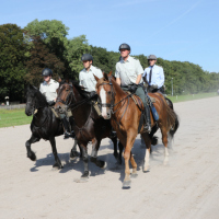 Oefening-Duindigt-14-09-2019-427