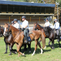 Oefening-Duindigt-14-09-2019-488