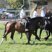 Oefening-Duindigt-14-09-2019-722