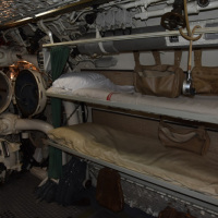 315222770_3250654478509046_1312221240263967503_n