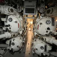 315390899_499026792253229_2836461655889225402_n