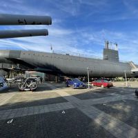 315525221_499029945586247_2598161370719902057_n