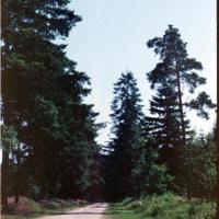 2018-02-13-16-24-005