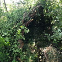 356919020_685644856934645_2632819114944527685_n