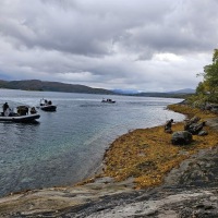 Viking-Recce-oktober-10